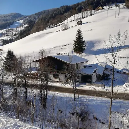 Mountain-view *