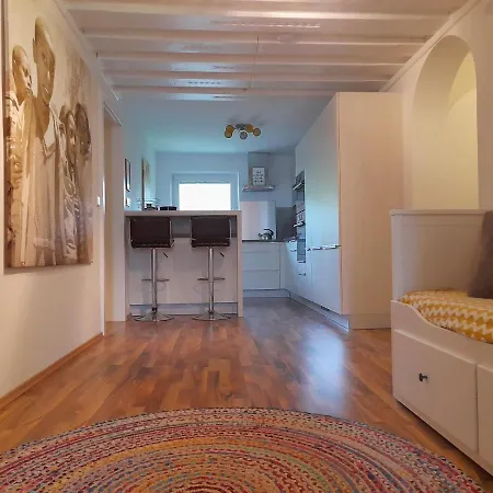 Apartament Mountain-view